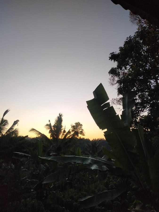 Tetebatu Mountain View Homestay Exterior foto