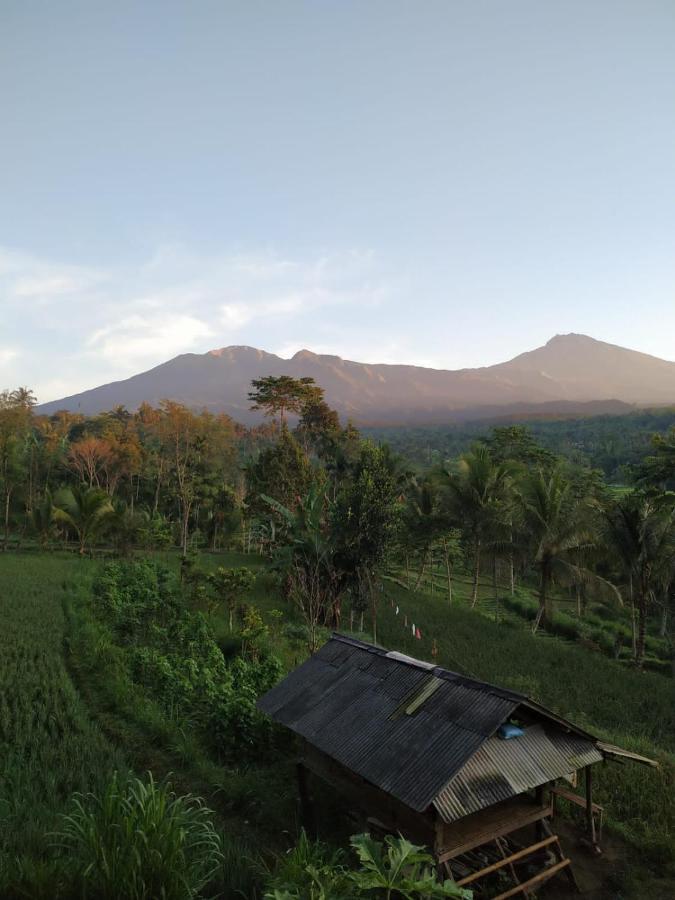 Tetebatu Mountain View Homestay Exterior foto