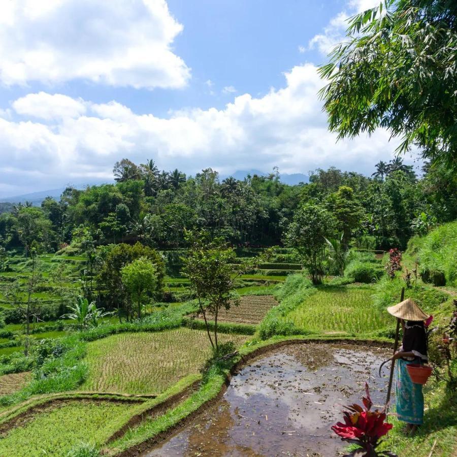 Tetebatu Mountain View Homestay Exterior foto