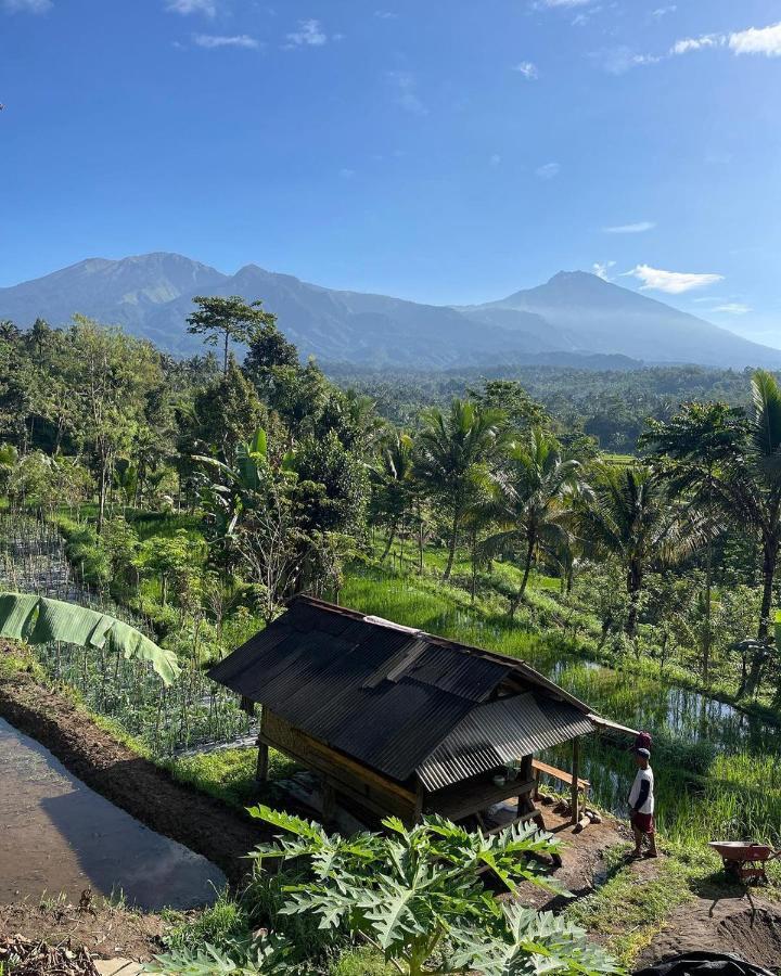 Tetebatu Mountain View Homestay Exterior foto