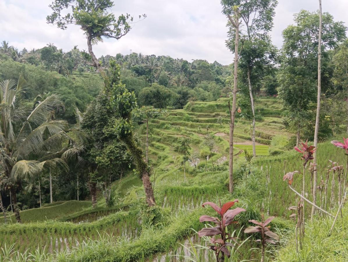 Tetebatu Mountain View Homestay Exterior foto