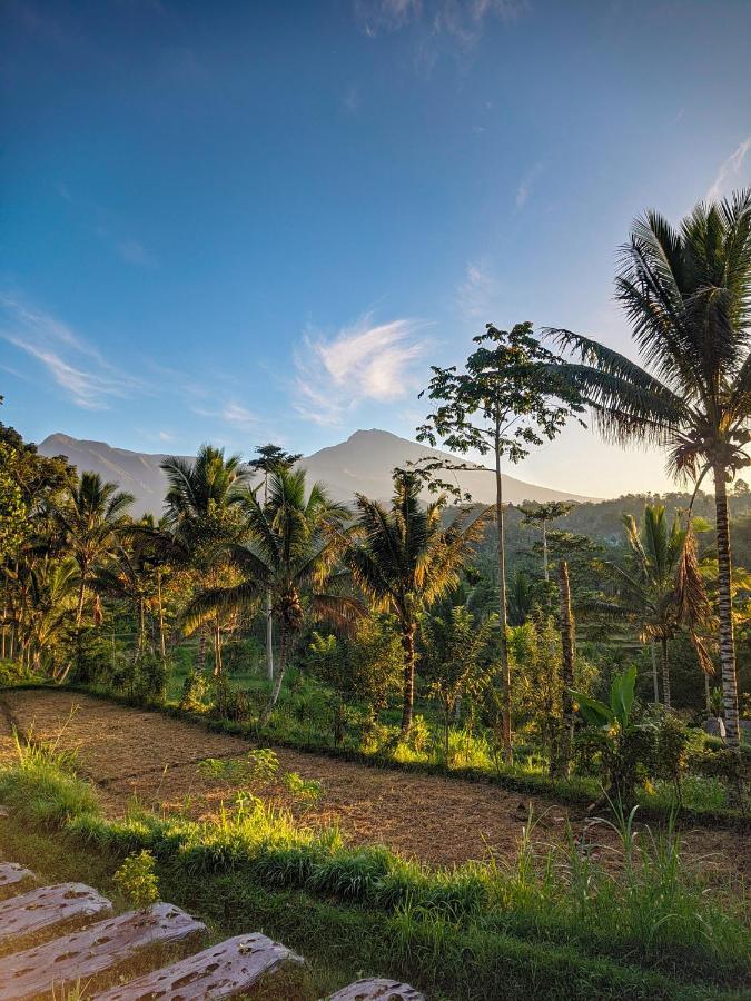 Tetebatu Mountain View Homestay Exterior foto