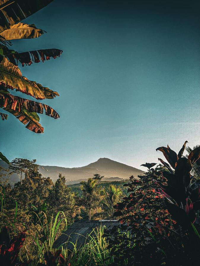 Tetebatu Mountain View Homestay Exterior foto