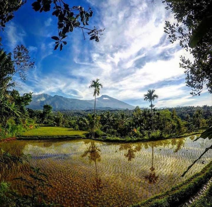 Tetebatu Mountain View Homestay Zimmer foto