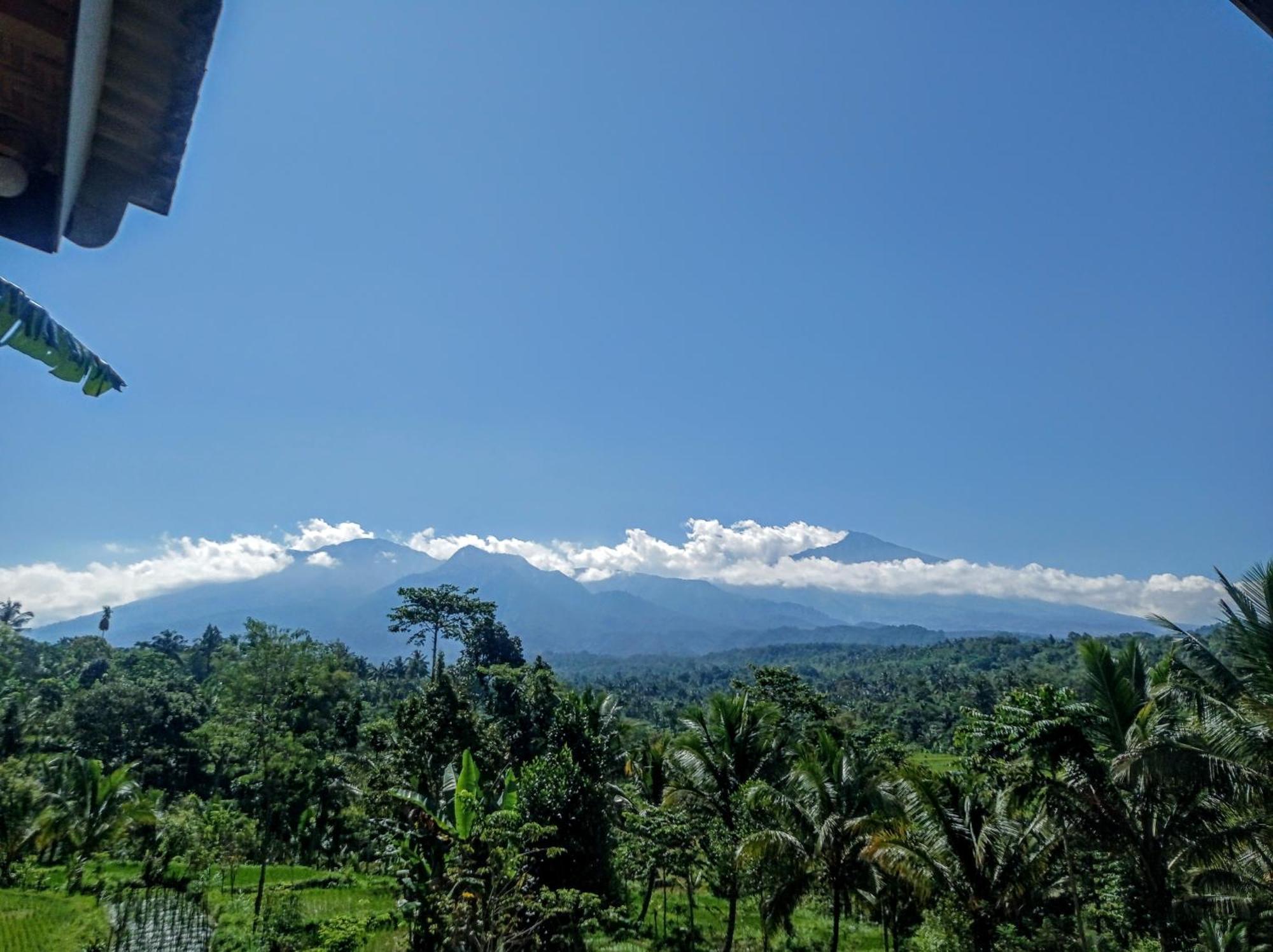 Tetebatu Mountain View Homestay Zimmer foto